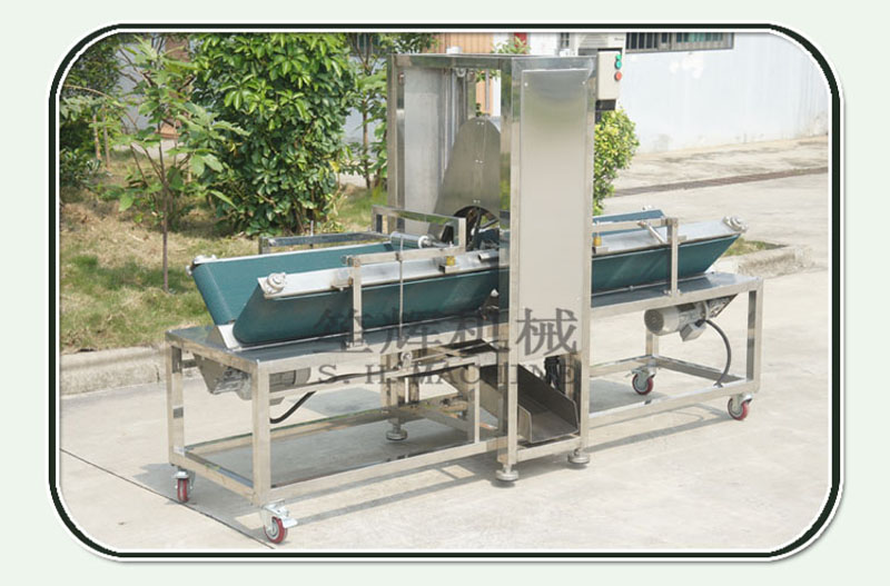 &eacute;plucheuse de melon horizontale 1