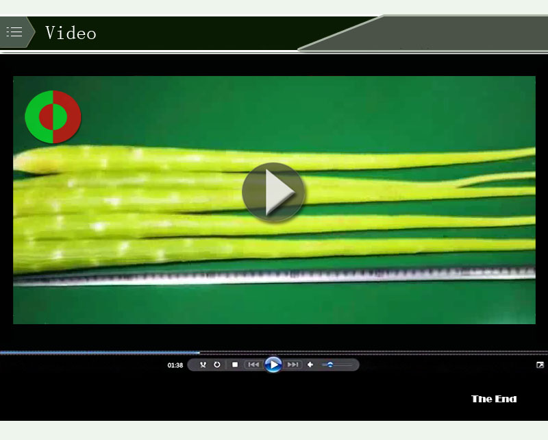 Machine &agrave; &eacute;plucher professionnelle