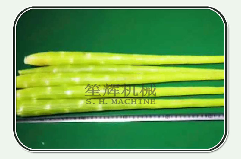 machine &agrave; &eacute;plucher la laitue