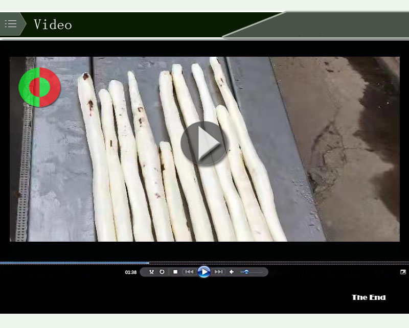 Machine d&eacute;pluchage digname atomatique en usine