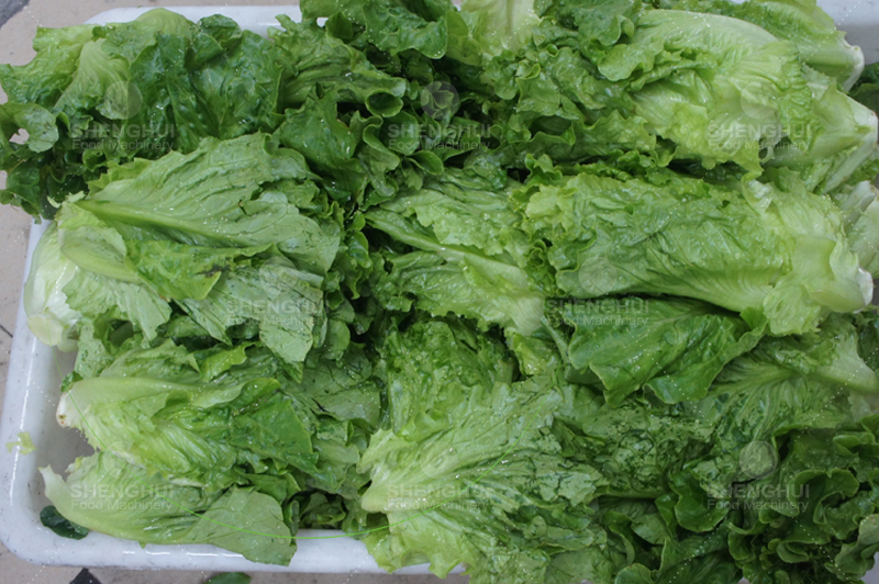 Machine &agrave; laver les bulles 1