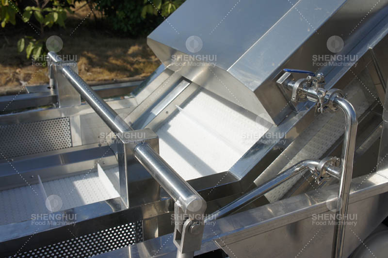 Machine &agrave; laver les fruits (3)