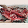 Machine automatique de mise à mort de poisson, machine d'élimination des écailles de poisson, machine d'éviscération de poisson, machines alimentaires, machine de découpe de filets de poisson