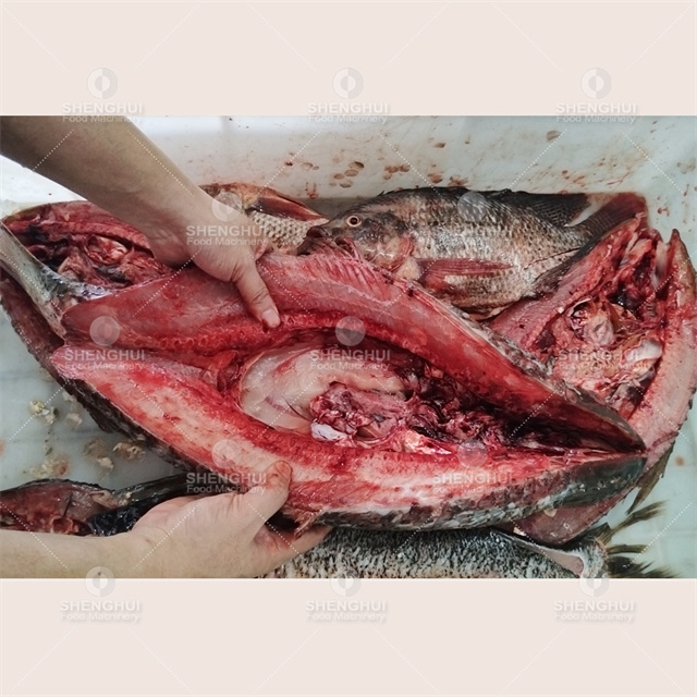 Machine automatique de mise à mort de poisson, machine d'élimination des écailles de poisson, machine d'éviscération de poisson, machines alimentaires, machine de découpe de filets de poisson