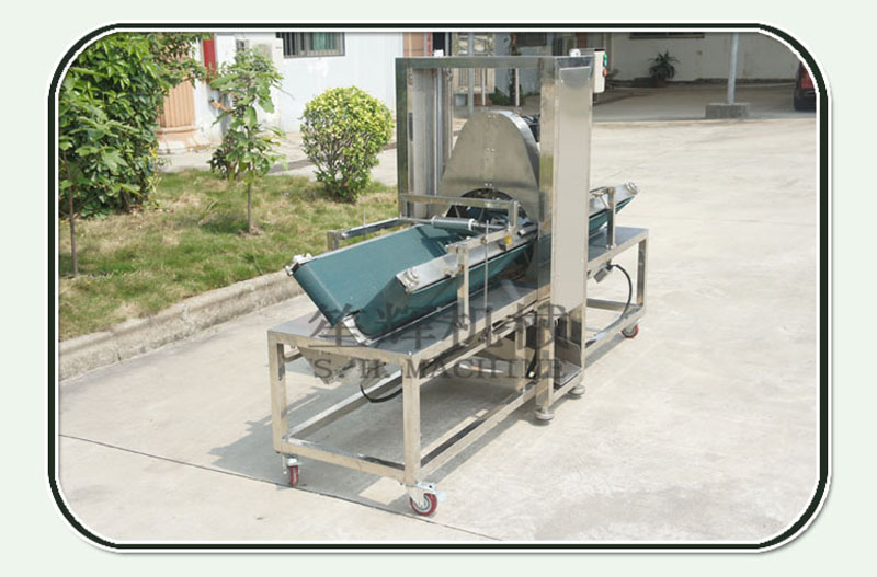 gros &eacute;plucheur de melon dhiver