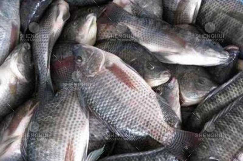 Machine &agrave; p&ecirc;cher