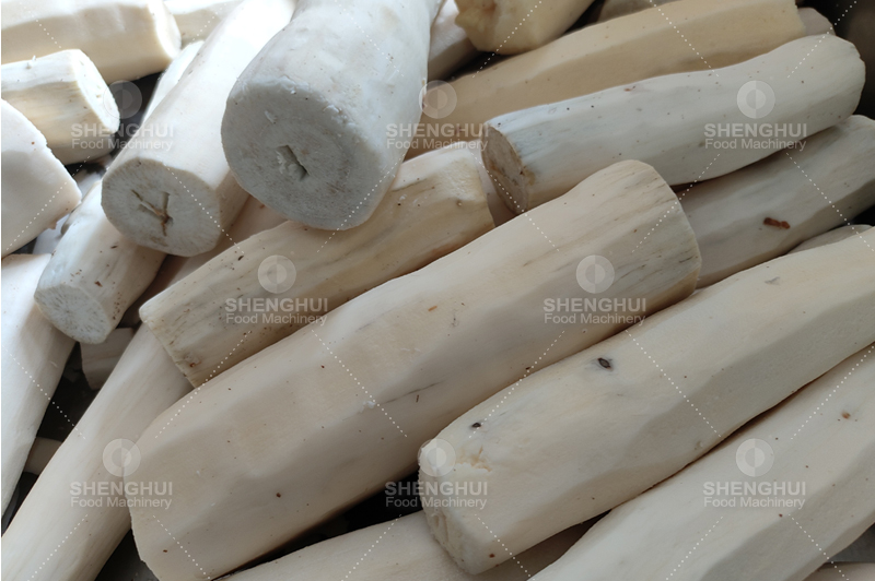 &Eacute;plucheuse de manioc 1.jpg