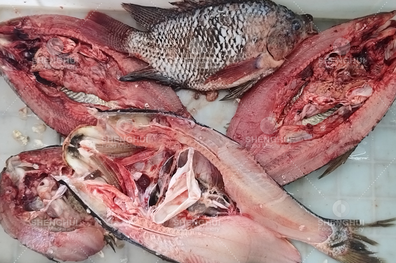 machine &agrave; d&eacute;couper le poisson (11)