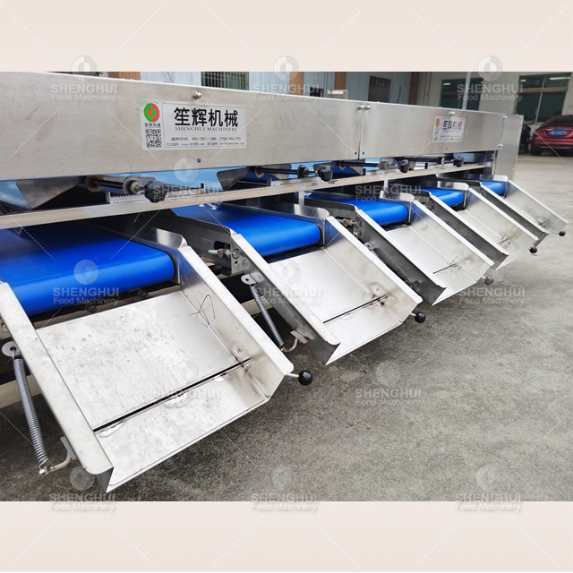 machine de tri automatique de fruits, trieuse de tomates cerises, calibreuse de pommes de terre, calibreuse de myrtilles