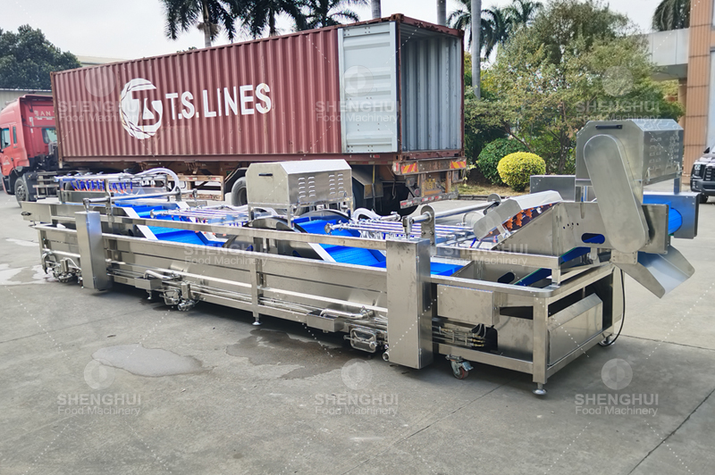 Laveuse de l&eacute;gumes (2)