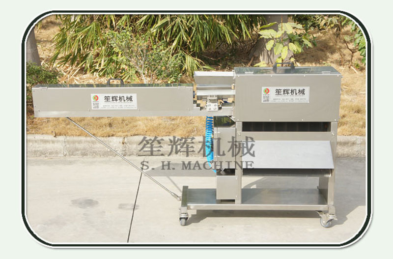 machine automatique &agrave; &eacute;plucher les carottes1