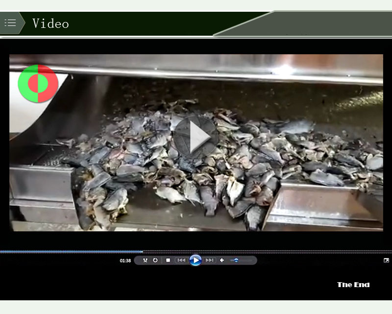 ligne de transformation du poisson 1