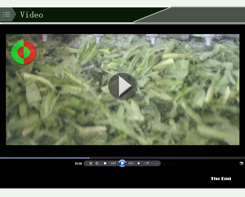 machine &agrave; laver les l&eacute;gumes-machine alimentaire