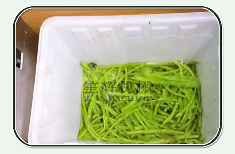 machine de traitement de l&eacute;gumes