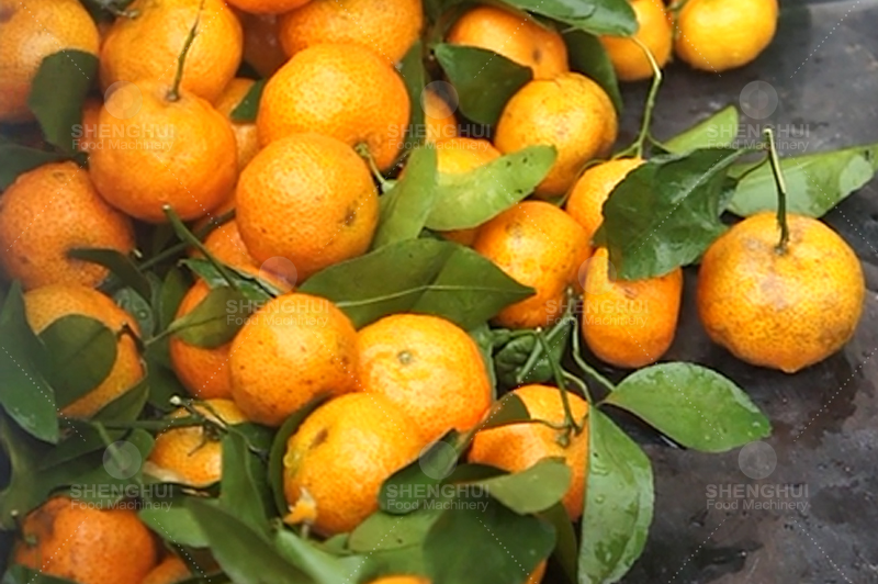 &Eacute;quipement alimentaire1