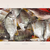 Machine automatique de détartrage de poisson, écailleur de poisson, machine de traitement de fruits de mer, détartreur de poisson, machine de détartrage de poisson