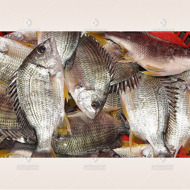 Machine automatique de détartrage de poisson, écailleur de poisson, machine de traitement de fruits de mer, détartreur de poisson, machine de détartrage de poisson