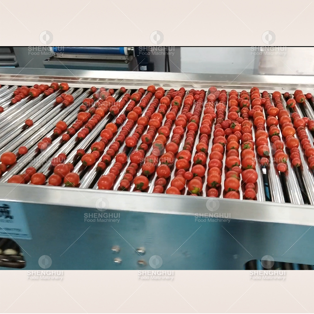 machine de tri automatique de fruits, trieuse de tomates cerises, calibreuse de pommes de terre, calibreuse de myrtilles