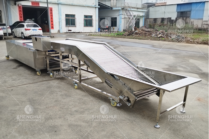 machine de tri des fruits (8)