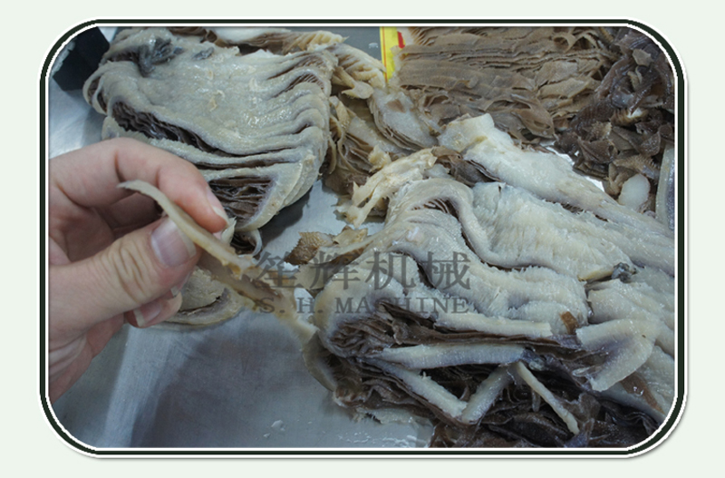 machine automatique de trancheuse-nourriture de poulet