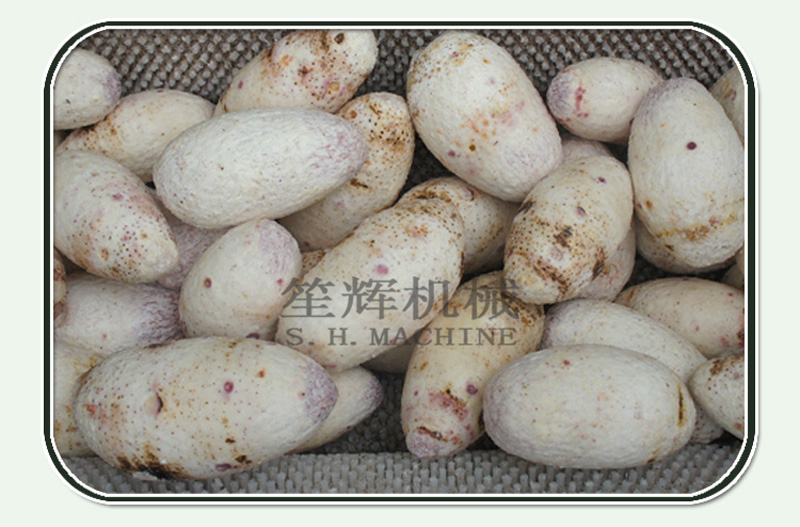 &eacute;plucheur de carottes