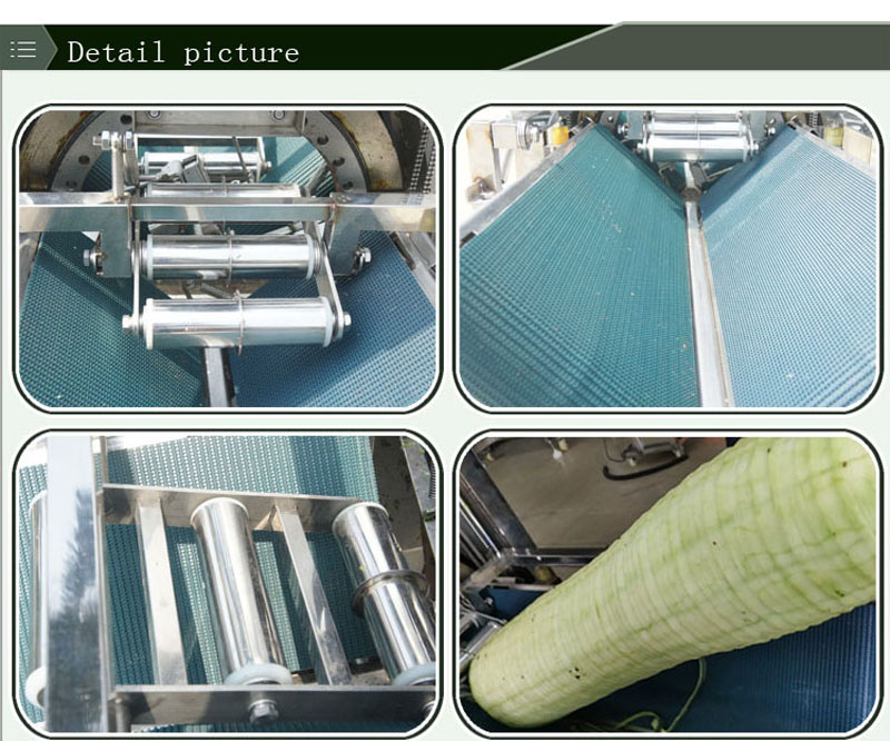 machine &agrave; &eacute;plucher