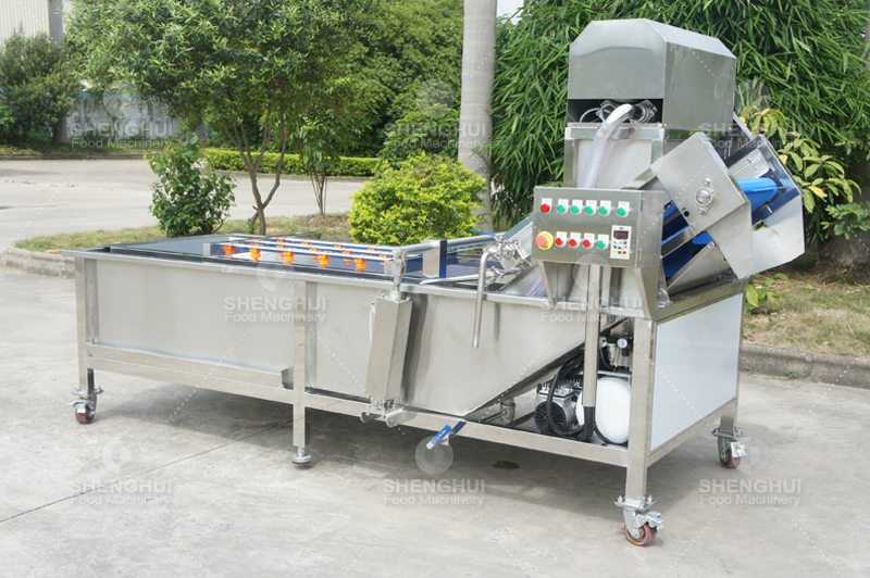 vegetable cleaning machine