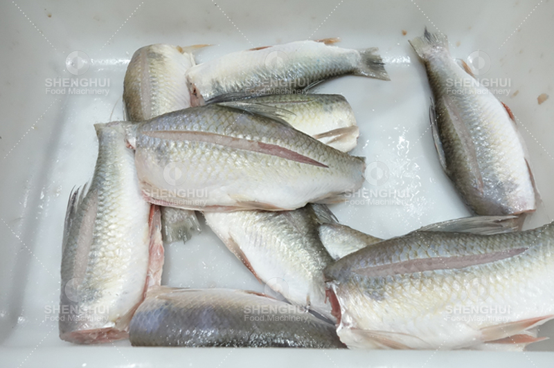 Coupe - t&ecirc;te de poisson