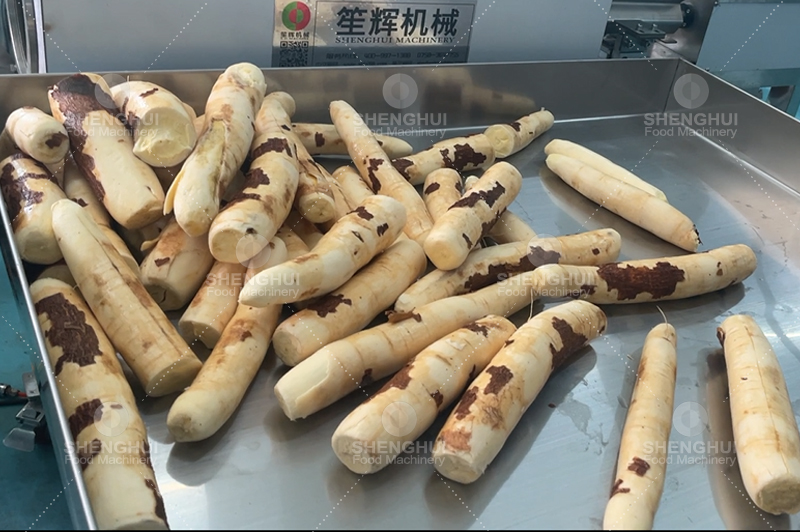 Machine de nettoyage du manioc.jpg
