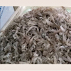Machine automatique de découpe de peau de poisson – Équipement de transformation des produits de la mer