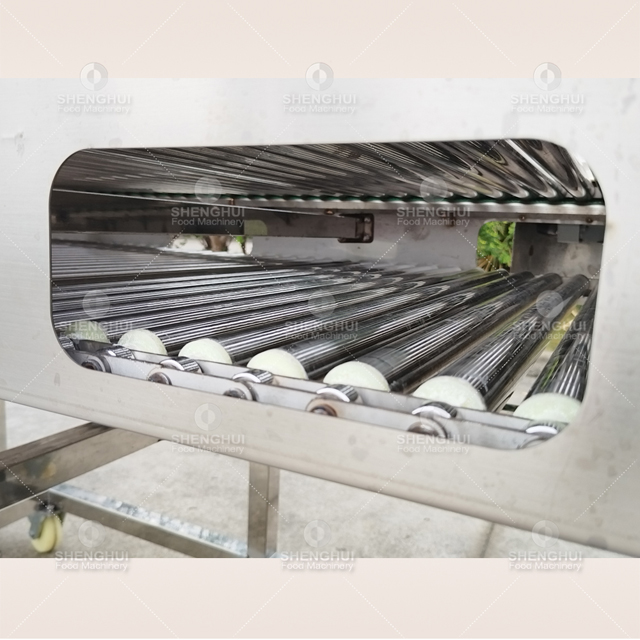 machine de tri automatique de fruits, trieuse de tomates cerises, calibreuse de pommes de terre, calibreuse de myrtilles