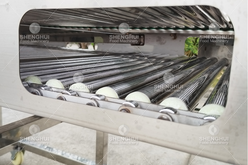 machine de tri des fruits (10)