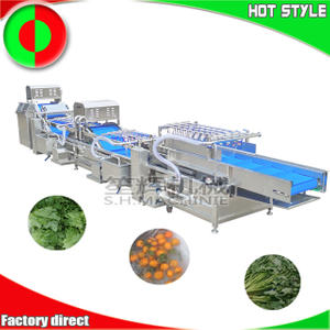 Machine de ligne de traitement de légumes commerciaux, machine à laver les légumes, machine de nettoyage des fruits, laveuse de salade non destructive