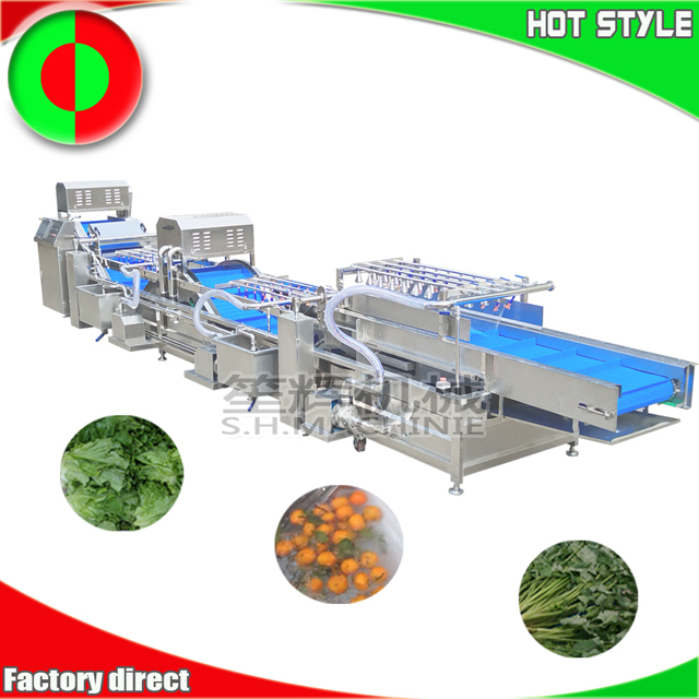 Machine de ligne de traitement de légumes commerciaux, machine à laver les légumes, machine de nettoyage des fruits, laveuse de salade non destructive