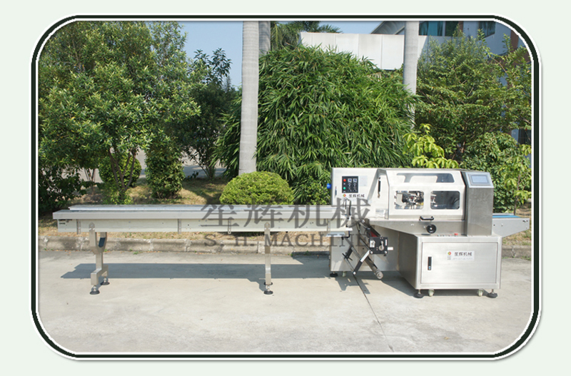 machine &agrave; emballer les l&eacute;gumes (2)