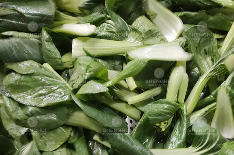 Machine &agrave; laver les bulles 1