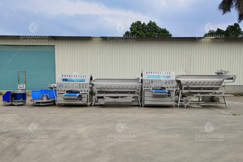 Machine de nettoyage de l&eacute;gumes