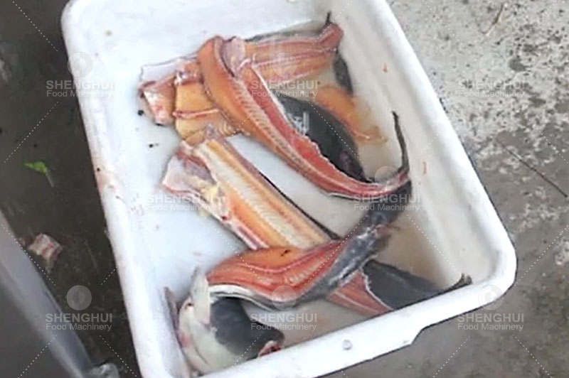 coupeur de poisson 1