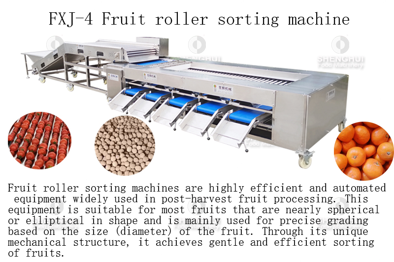 machine de tri des fruits (9)
