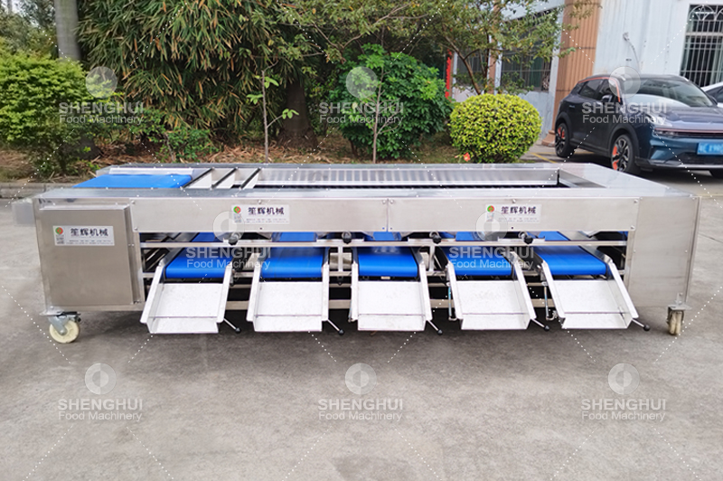 machine de tri des fruits (11)