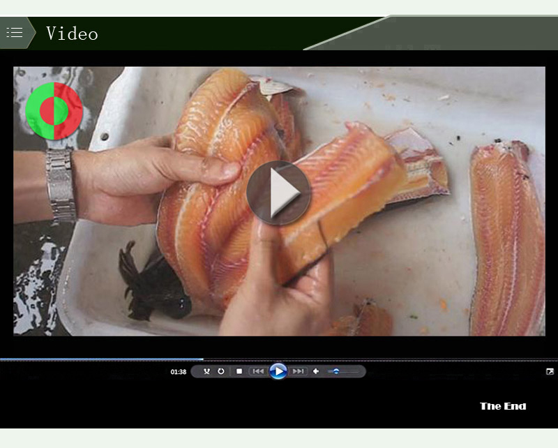 machine a fileter automatique-machine machine-shenghui-poisson