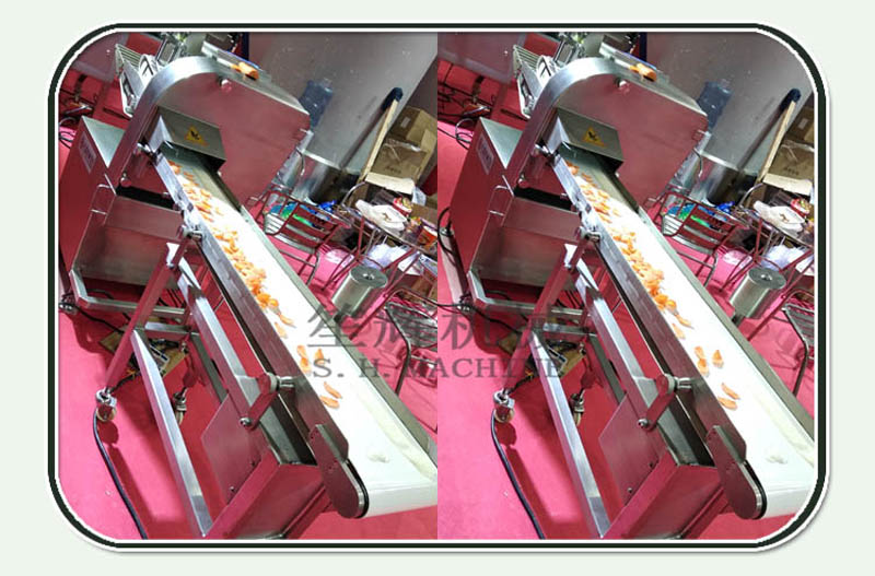 machine &agrave; trancher la viande fra&icirc;che