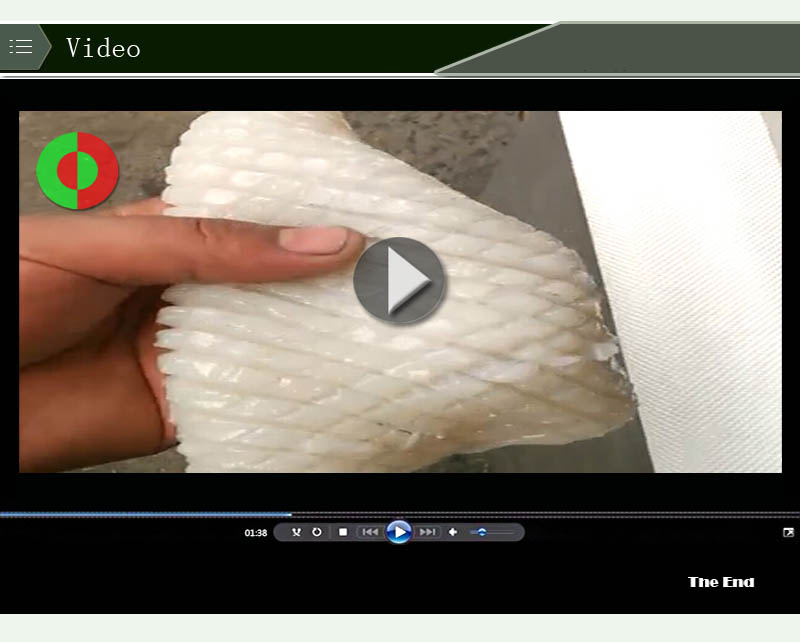 &Eacute;quipement de fleur de calmar coup&eacute;