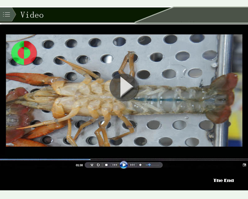 &eacute;quipement alimentaire 4