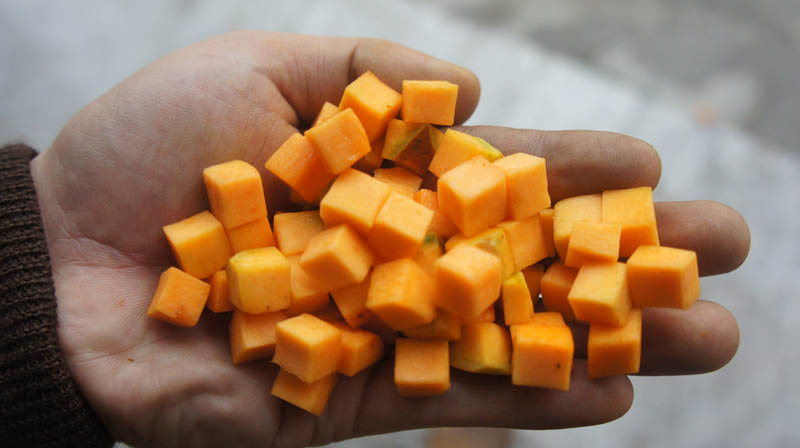 l&eacute;gume dicer machine