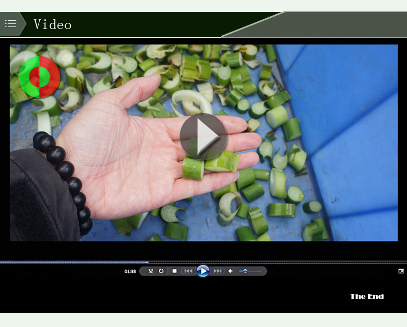 coupe-l&eacute;gumes facile-machine alimentaire-machine de d&eacute;coupe de l&eacute;gumes