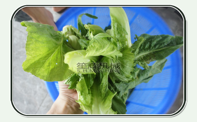 entreprises alimentaires d&eacute;shydrat&eacute;es-machine alimentaire-d&eacute;shydrateur de fruits