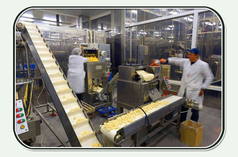 ligne de production de p&ecirc;che