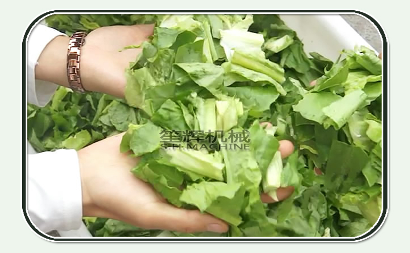 l&eacute;gumes d&eacute;shydrat&eacute;s-machine alimentaire-d&eacute;shydrateur machine