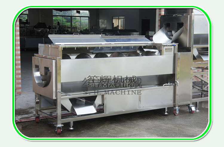introduction de fruits et légumes machine à brosser